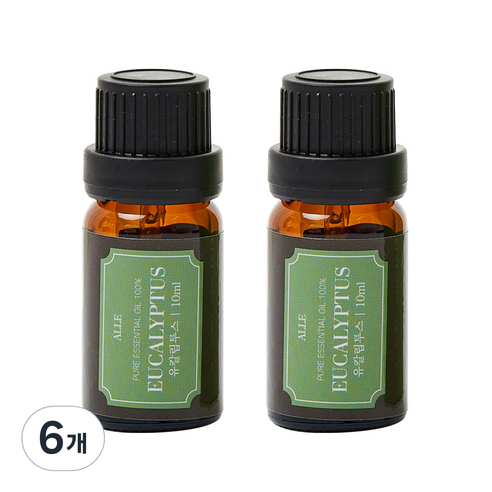 알레 비건 아로마 에센셜 오일 유칼립투스 향, 10ml, 6개