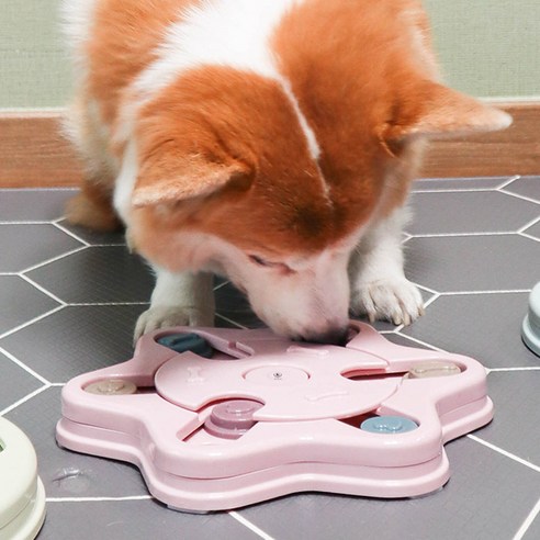 딩동펫 반려동물 지능개발 퍼즐간식토이 IQ 장난감 눈꽃 지름 25cm x 높이 2.8cm, 핑크, 1개