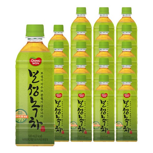 동원에프엔비 보성녹차, 500ml, 20개