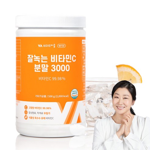 비타민마을 와이즈 잘녹는 비타민C 분말 3000, 500g, 1개