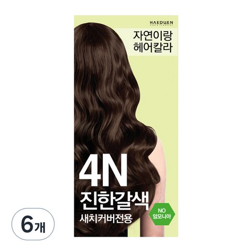 자연이랑 해든화장품 염색약, 4N진한갈색, 6개