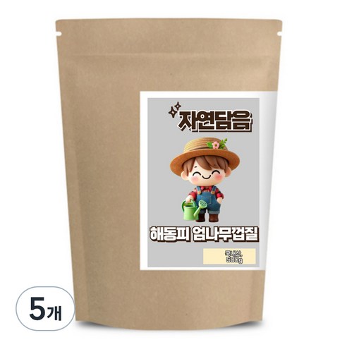 자연담음 해동피 엄나무 껍질 국내산, 500g, 5개