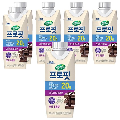셀렉스 프로핏 우유단백질 모카 초콜릿, 250ml, 6개
