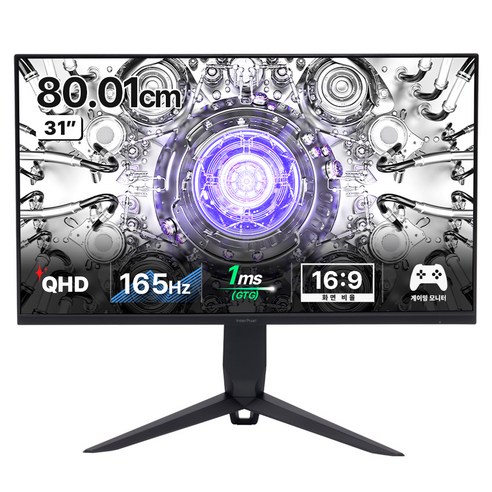 인터픽셀 QHD 165Hz USB C타입 IPS 평면 게이밍 모니터, 80cm, IPQ3242(무결점)