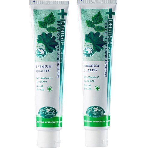 덴티스테 플러스 화이트 치약 튜브형, 200g, 2개