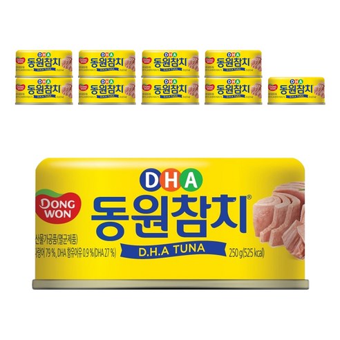 동원 DHA참치, 150g, 10개