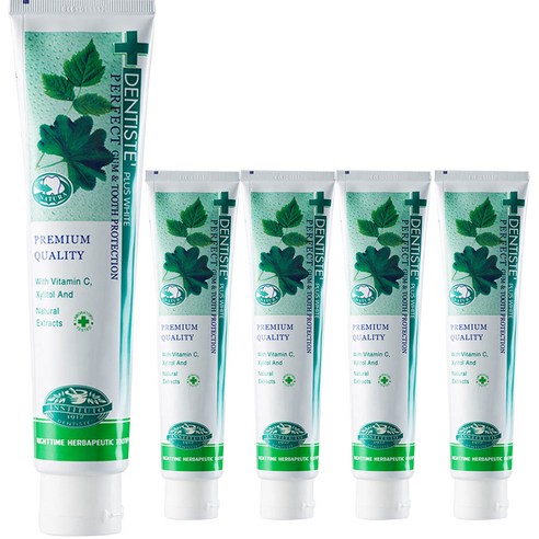 덴티스테 플러스 화이트 치약 튜브형, 200g, 5개