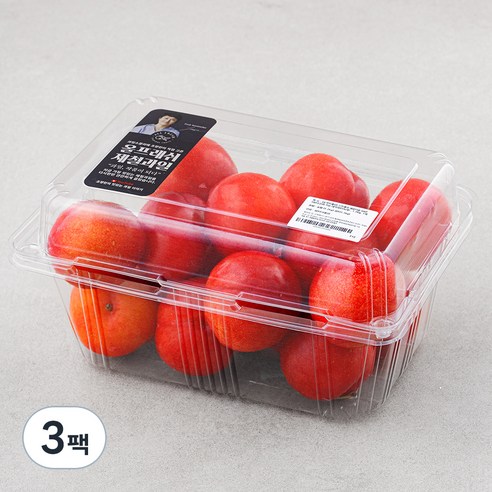 올프레쉬 새콤달콤 GAP 저탄소인증 와촌 대석자두(특대), 1.2kg, 3팩