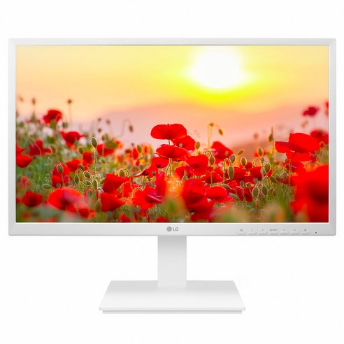 LG전자 FHD PC모니터, 60.4cm, 24BK550YW