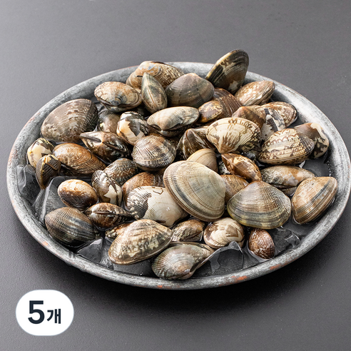 바다림 서해안 산지직송 생물 갯벌 참바지락 (냉장), 500g, 5개