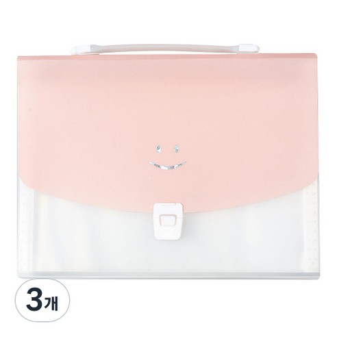 프룰리 아코디언파일 A4 13칸, 12, 3개