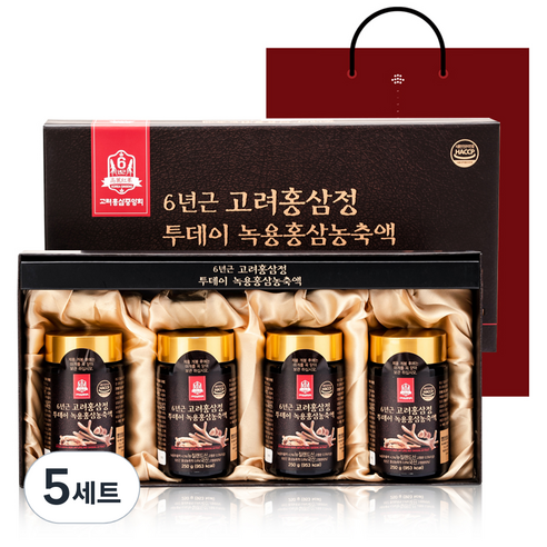 고려홍삼중앙회 6년근 고려홍삼정 투데이 녹용홍삼농축액 + 쇼핑백, 1kg, 5세트