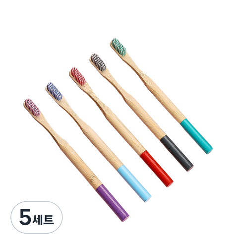 다다랜드 나선형 대나무 임산부 칫솔 5종 세트, 5세트, 5개