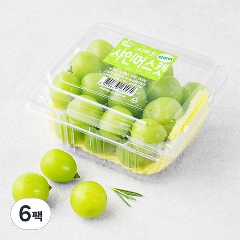 다조은 알알이 샤인머스켓, 300g, 6팩