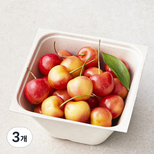 아주마 국내산 산지직송 영동 레이니어 체리, 250g, 3개