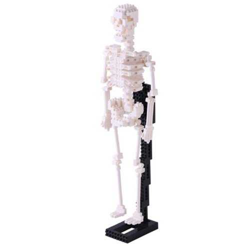 카와다 나노블럭, HUMAN SKELETON
