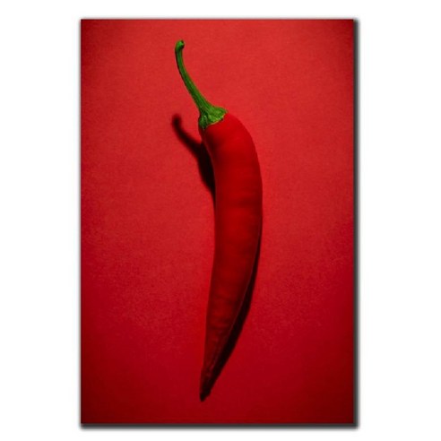 파랑디자인 캔버스 액자 - 사진, 고추