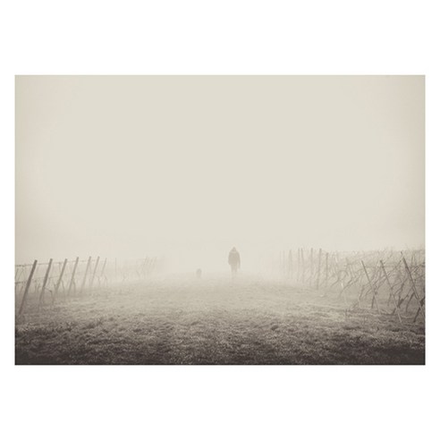 북유럽 스타일 인테리어액자 (A3) art, no. 0171