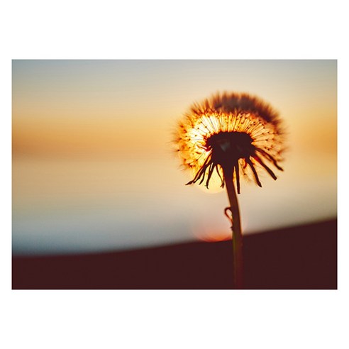 북유럽 스타일 인테리어액자 (A1), art no. 0092