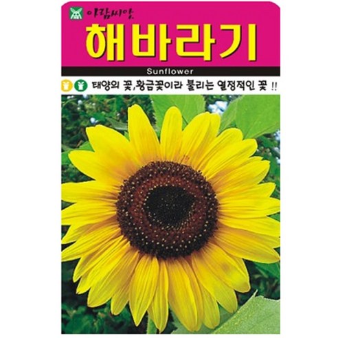 저스틴앤클로이 해바라기50립 고급꽃씨, 3개