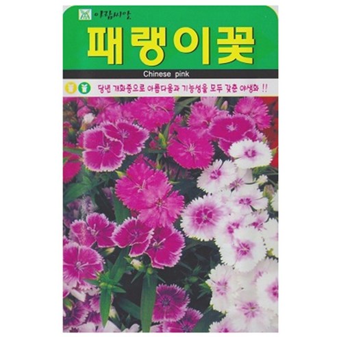 저스틴앤클로이 패랭이꽃1000립 야생화종자, 3개