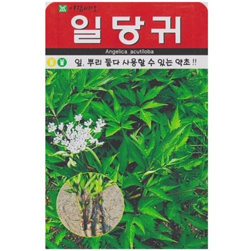 저스틴앤클로이 일당귀300립 채소산채, 2개