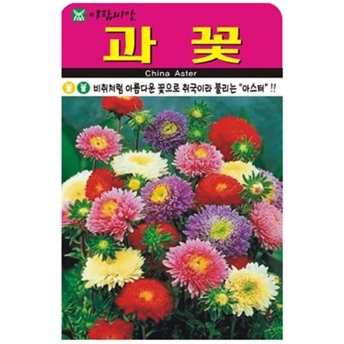 저스틴앤클로이 과꽃1000립 고급꽃씨