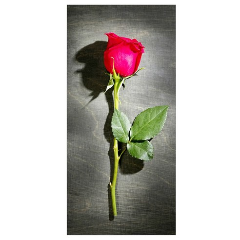 프렌체 고해상도 포인트도어 시트지, 베르사이유의장미