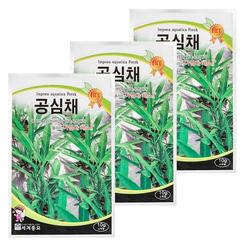 세계종묘 공심채 10g, 3개