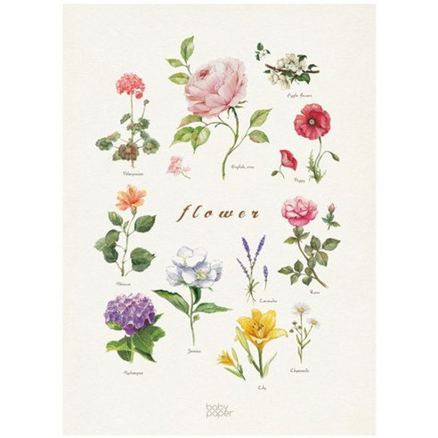 베이비페이퍼 lovely flowers coating 포스터, 혼합색상