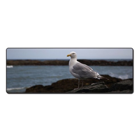 더파슬리 포토 데스크매트 와이드사이즈 가로 80cm x 세로 30cm, 1개, MP 66085
