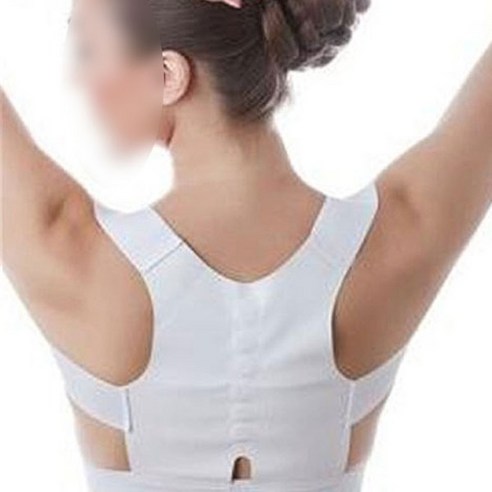 디엘코리아 게르마늄 바른자세벨트, XL