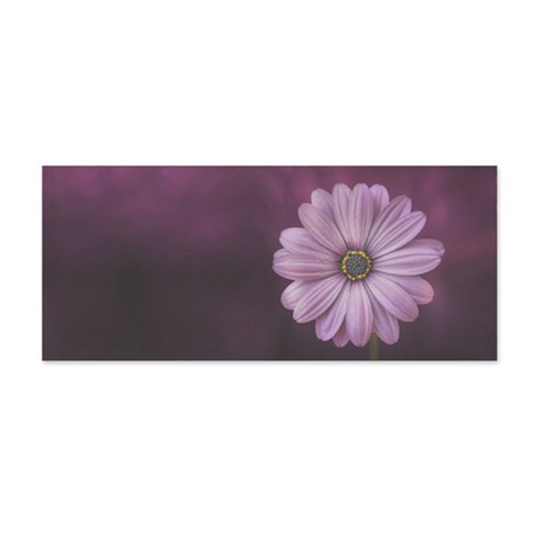 어번던스 보테니컬디자인 바란스 커튼, GM 76586