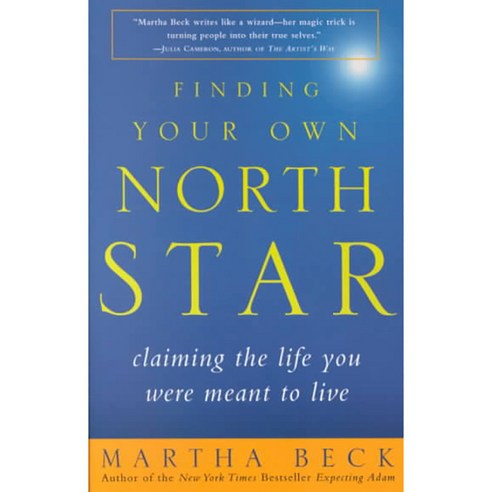 [해외도서] Finding Your Own North Star, Harmony Books