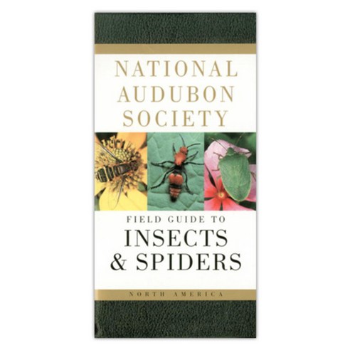 [해외도서] National Audubon Society Field Guide to North American Insects ...