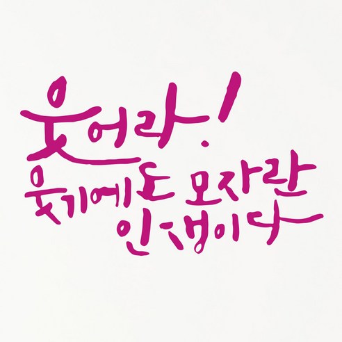 1Am 캘리그라피 인테리어 포인트 스티커 S2 명언 웃어라 웃기에도, 분홍 - 가격 변동 추적 그래프 - 역대가