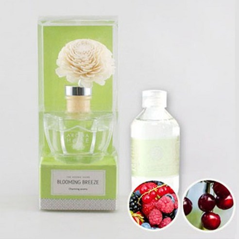 아로마홈 솔라 디퓨져 + 디퓨져 리필 용액 200ml, 본품(블루밍 브리즈), 리필(블랙 체리)