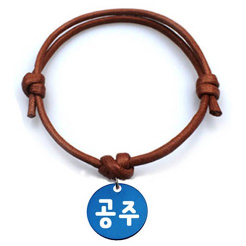 펫츠룩 굿모닝 카라멜 반려동물 목걸이 S 알미늄원형 팬던트 M, 블루(공주), 1개