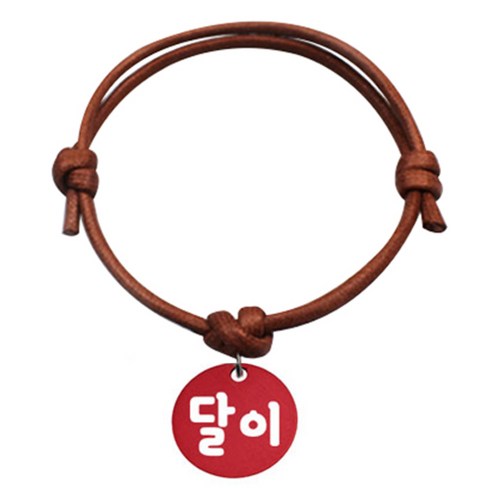 펫츠룩 굿모닝 카라멜 반려동물 목걸이 S 알미늄원형 팬던트 M, 레드(달이), 1개