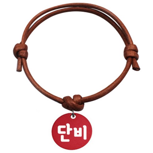 펫츠룩 굿모닝 카라멜 반려동물 목걸이 S 알미늄원형 팬던트 S, 레드(단비), 1개