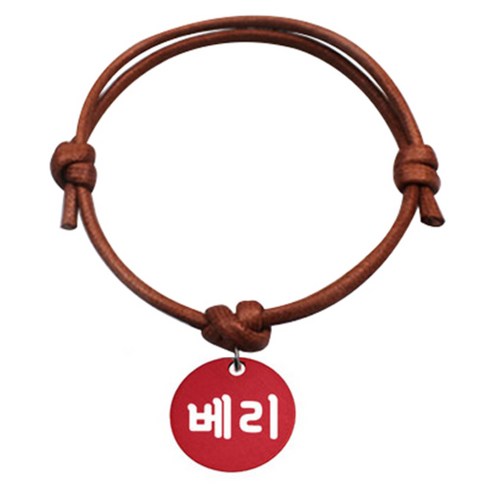 펫츠룩 굿모닝 카라멜 반려동물 목걸이 S 알미늄원형 팬던트 M, 레드(베리), 1개