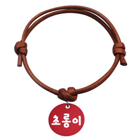 펫츠룩 굿모닝 카라멜 반려동물 목걸이 S 알미늄원형 팬던트 M, 레드(초롱이), 1개