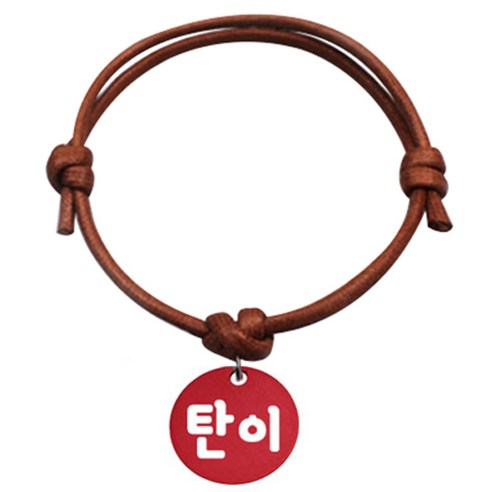 펫츠룩 굿모닝 카라멜 반려동물 목걸이 S 알미늄원형 팬던트 S, 레드(탄이), 1개