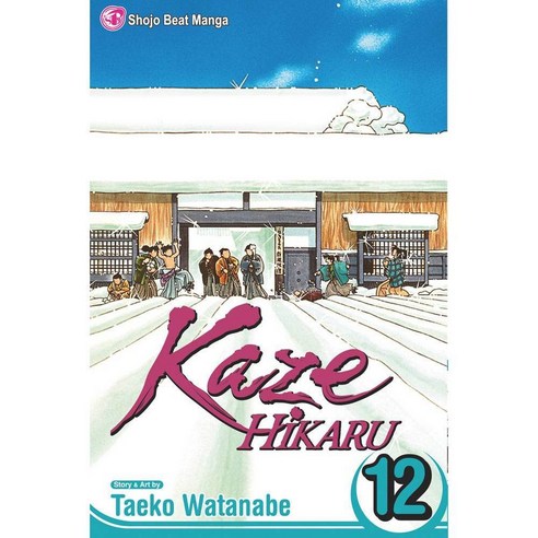 Kaze Hikaru 12, Viz