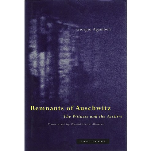 Remnants of Auschwitz: The Witness and the Archive, Zone Books