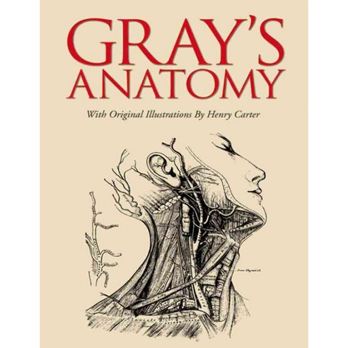 Gray''s Anatomy, Arcturus Pub