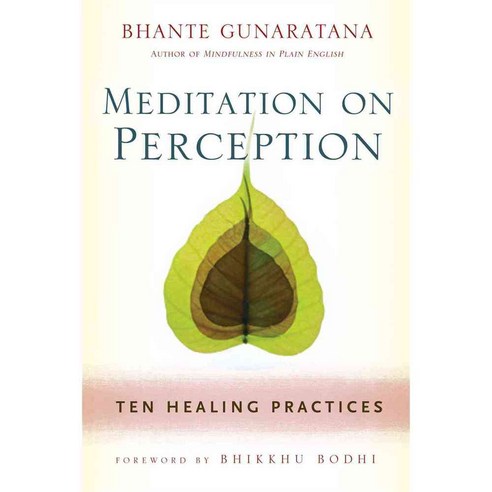 Meditation on Perception: Ten Healing Practices to Cultivate Mindfulness, Wisdom Pubns