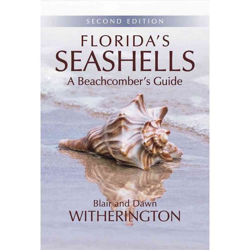 Florida''s Seashells: A Beachcomber''s Guide, Pineapple Pr Inc