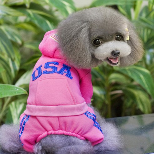 노랜드 반려견 DOG BABY USA 올인원, 로즈 레드