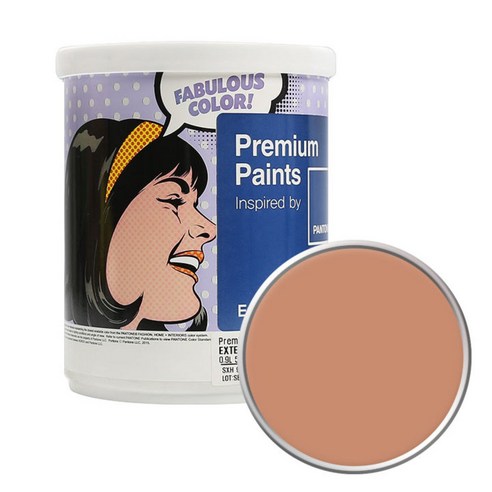노루페인트 팬톤 외부용 실외 벽면 무광 페인트 1L, 16-1328 Sandstone